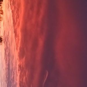 Meet your Posher, Al